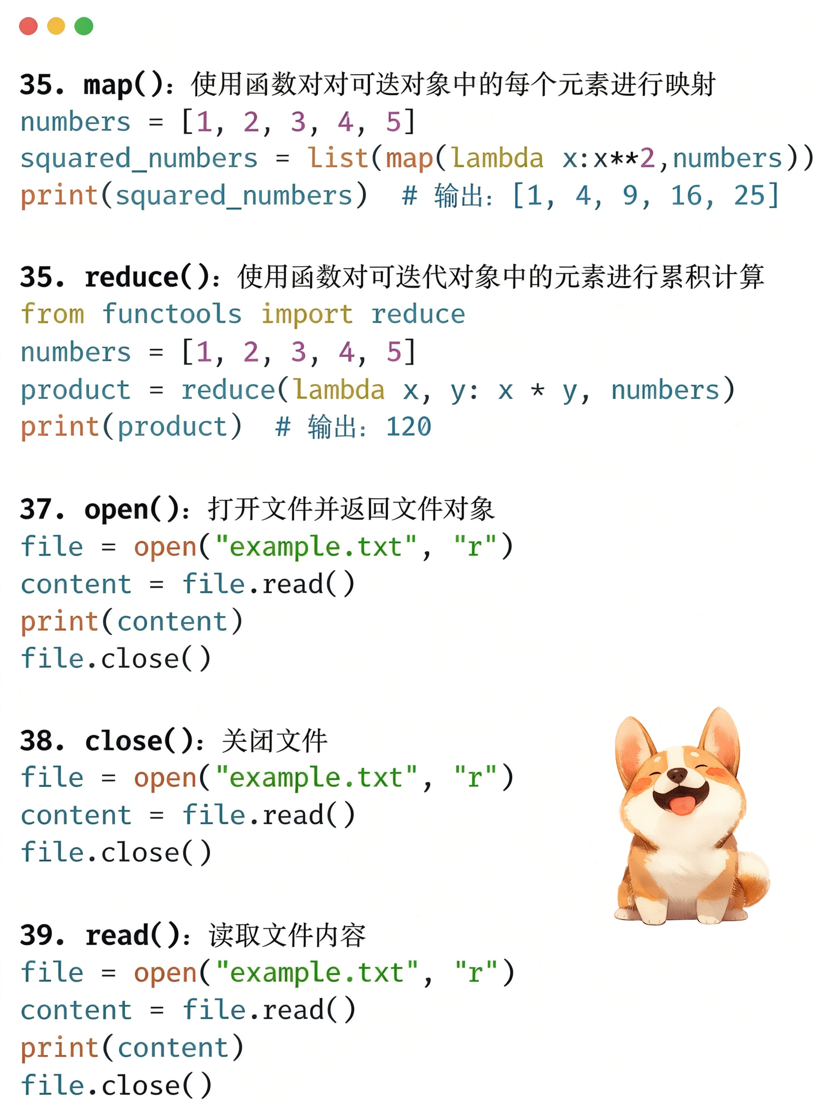 新手怎么学代码（新手怎么学代码编程）