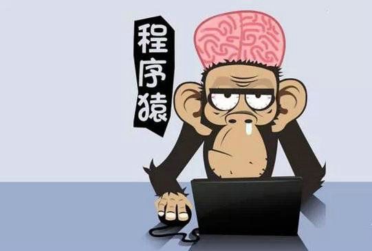 【菜鸟编程js,菜鸟编程c语言】 【菜鸟编程js,菜鸟编程c语言】