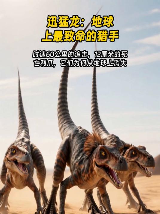 【迅猛龙,迅猛龙 网红】 【迅猛龙,迅猛龙 网红】