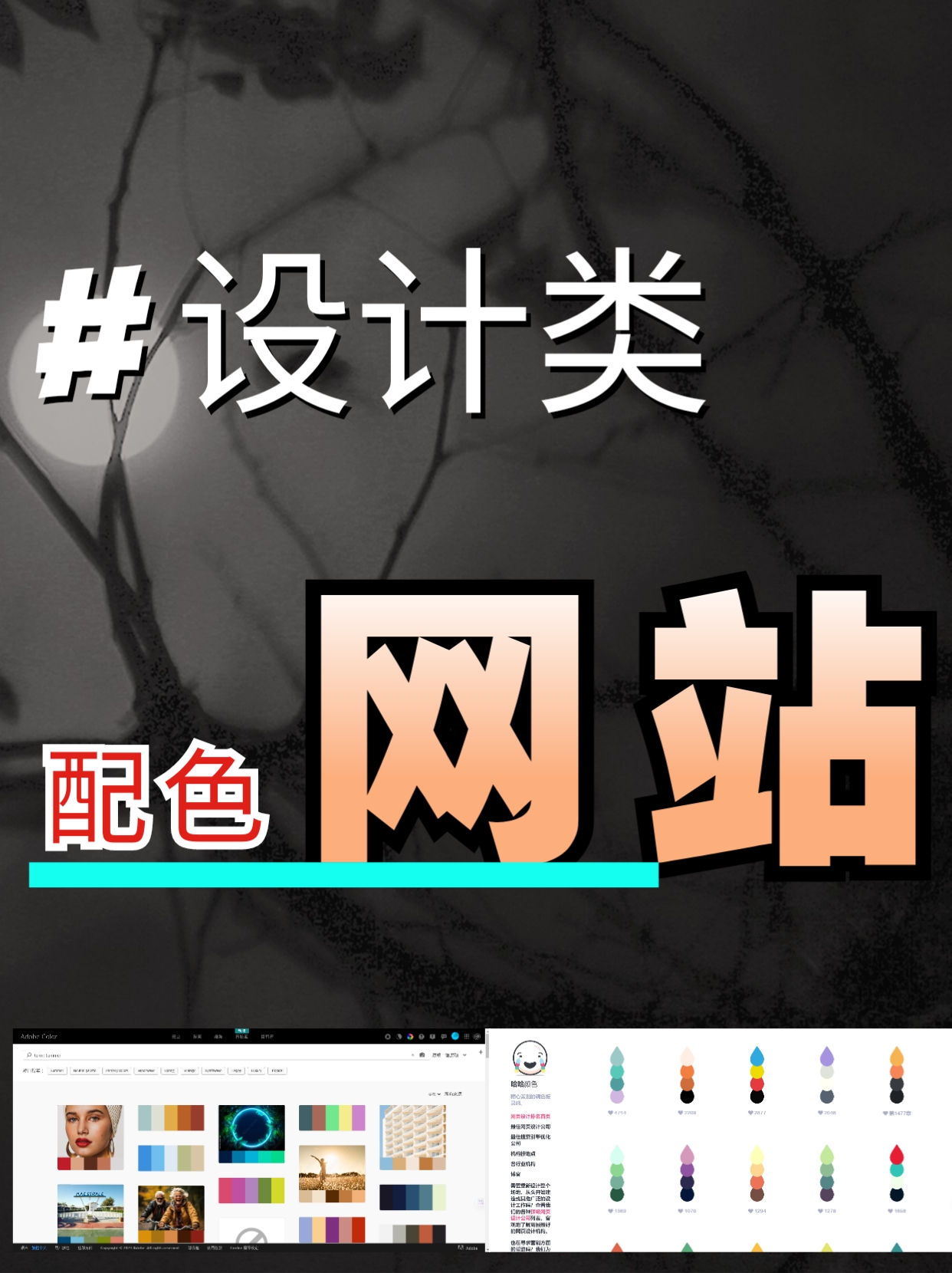 成品网站分享一下(成品网站源码入口) 成品网站分享一下(成品网站源码入口)