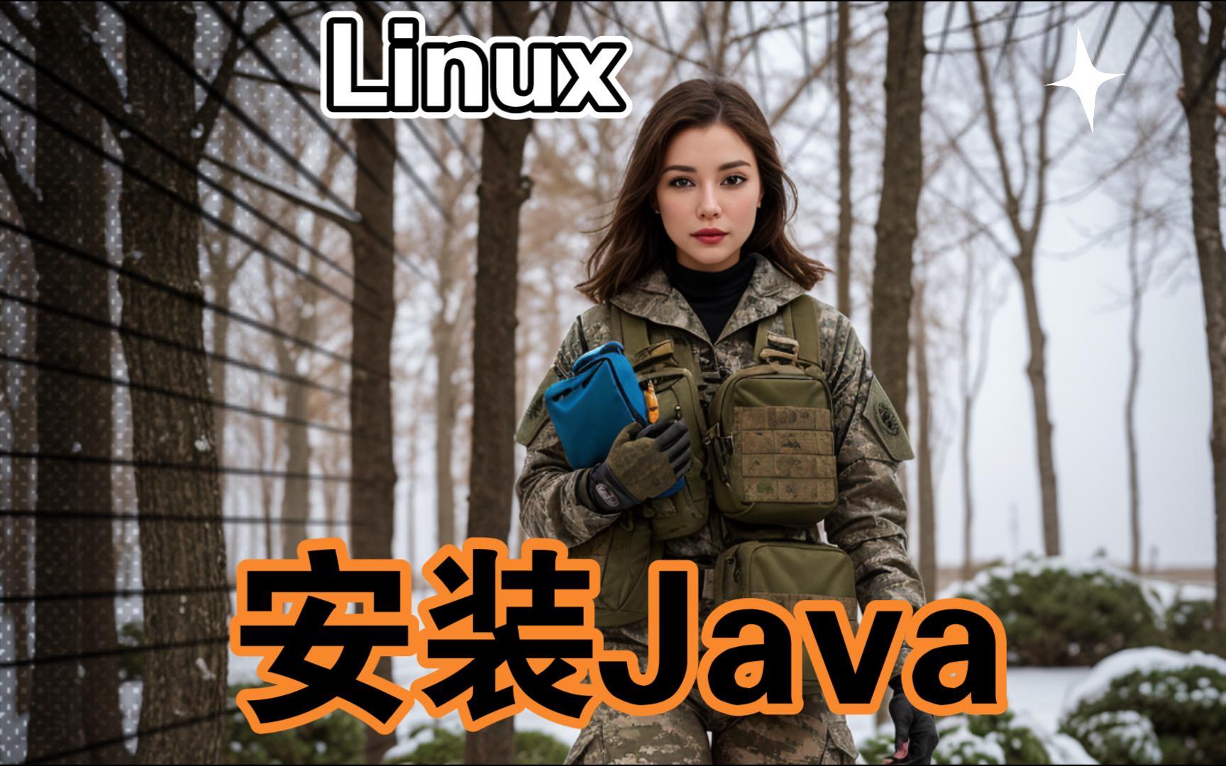 linux安装java运行环境/linux安装java配置环境变量