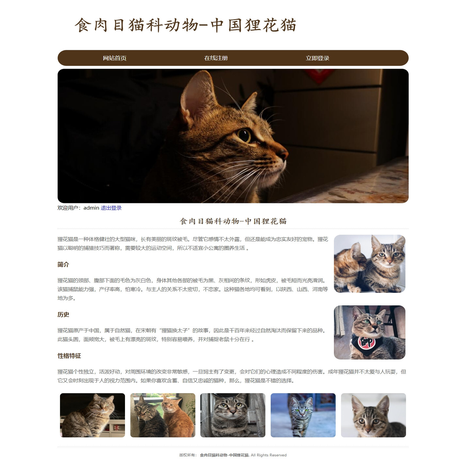 html5+css（html5css3黑马程序员pdf）