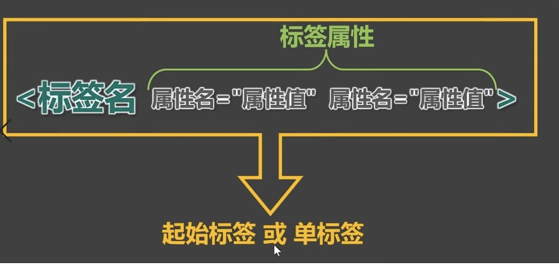 包含input标签共有的属性的词条 包含input标签共有的属性的词条