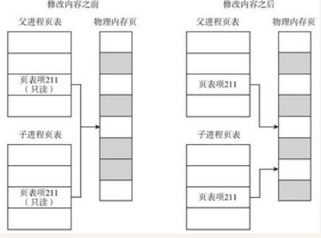 fork函数使用方法（fork函数的作用）