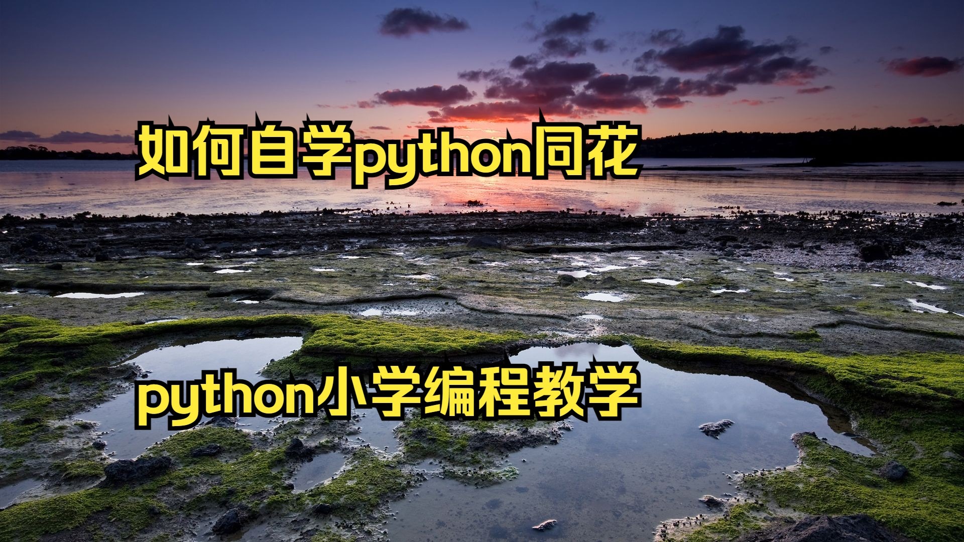 【编程基础教学,编程基础培训课程】 【编程基础教学,编程基础培训课程】