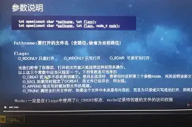 fopen的头文件（fflushstdin头文件）