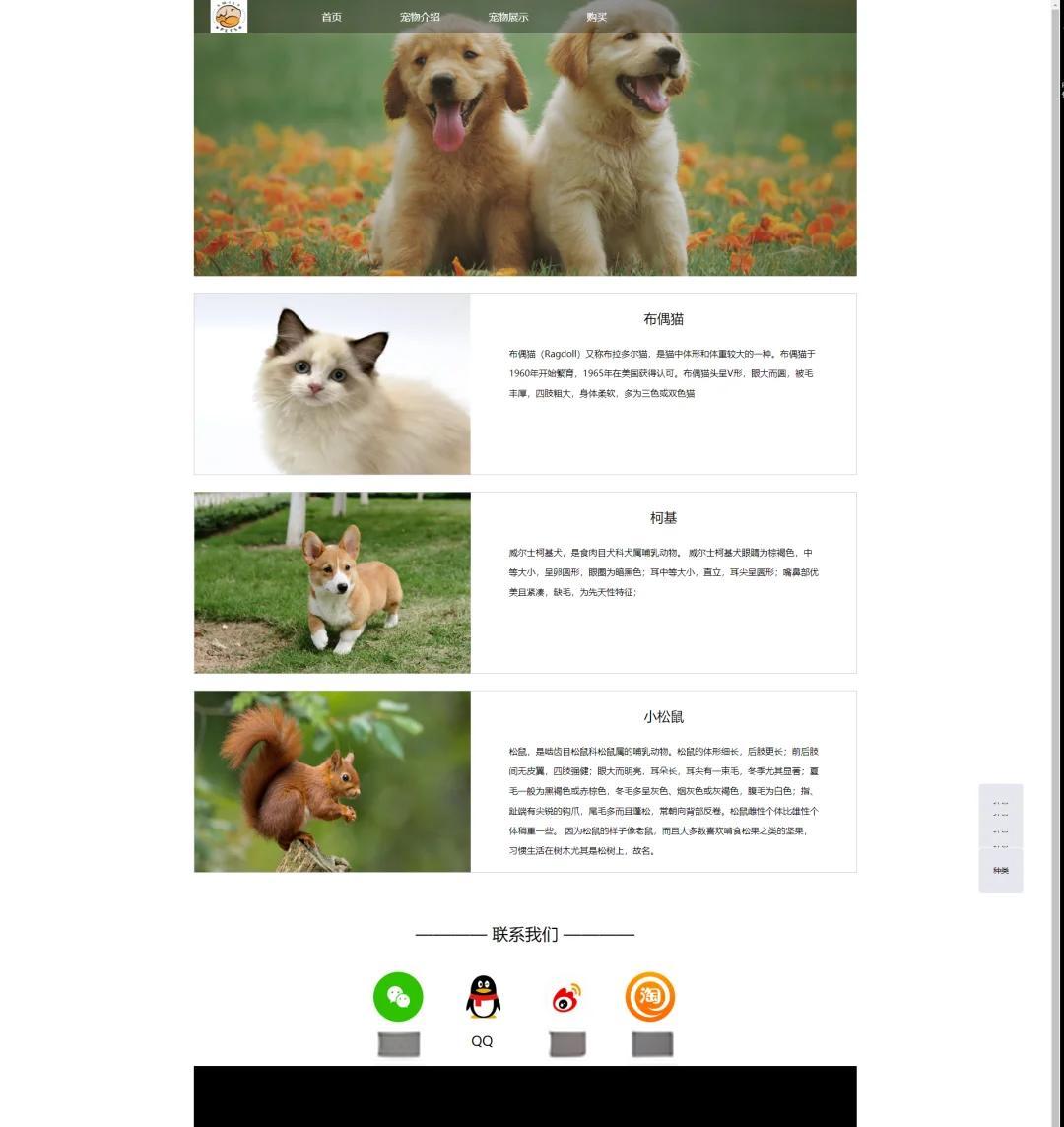 编程猫网站（编程猫oj网站）