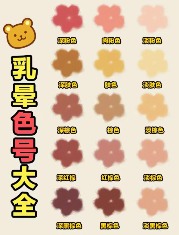 输入色号查询颜色/输入色号查询颜色名称