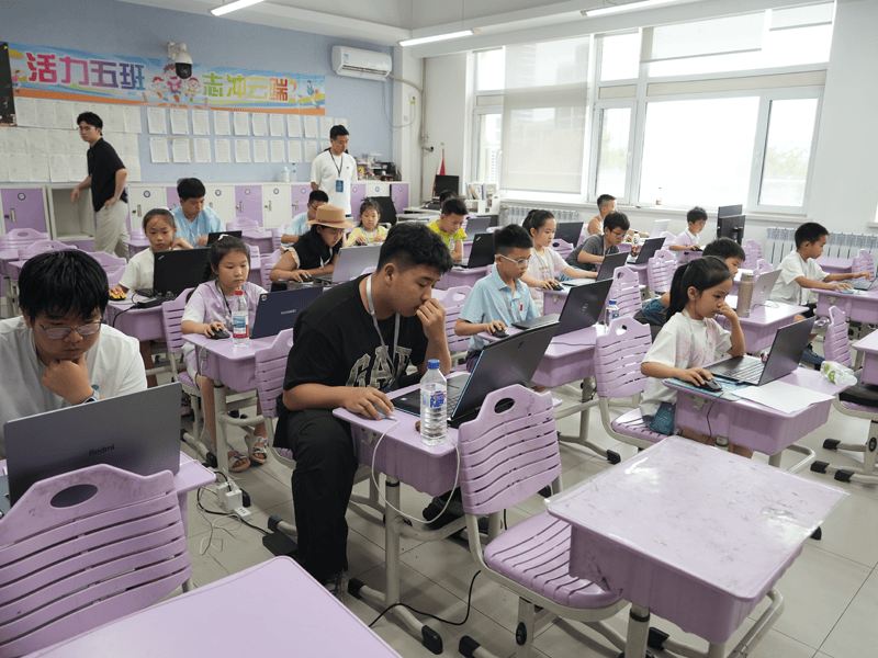 少儿编程培训（少儿编程培训市场乱象调查）