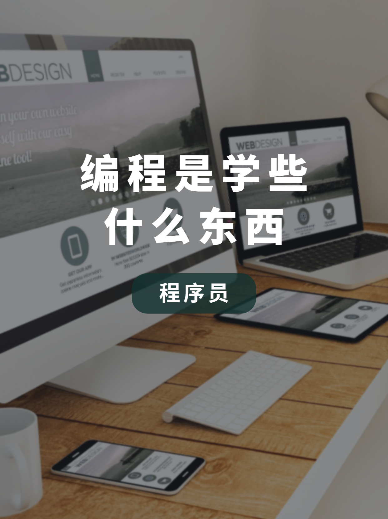 怎样自学编程编程入门（怎样自学编程编程入门书籍）