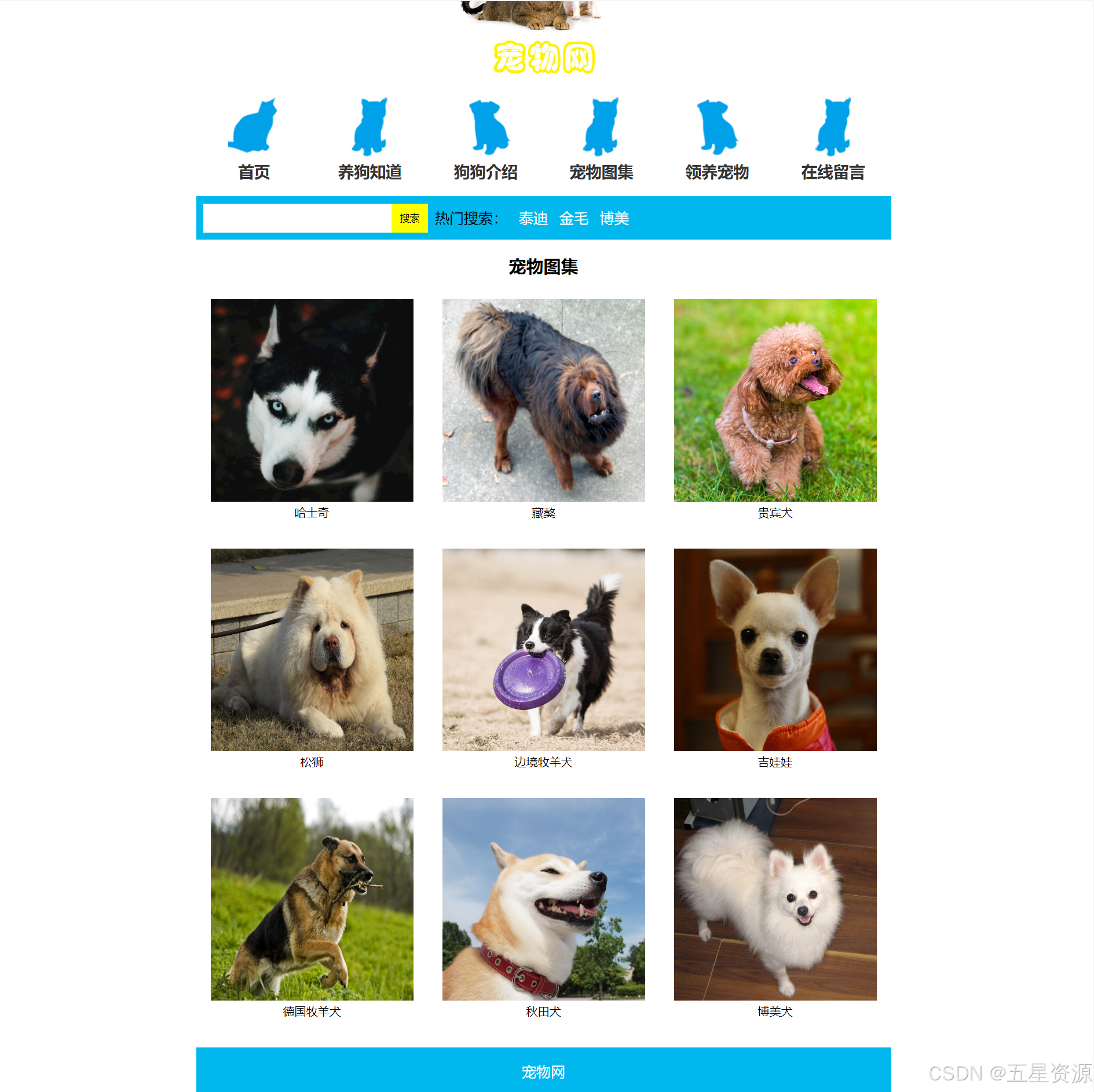 【html与css入门经典pdf,html css pdf 下载脚本之家】