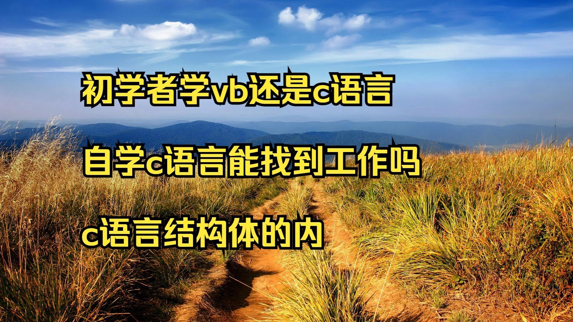 vb语言和c语言的区别（vb和c语言可以用相同的）