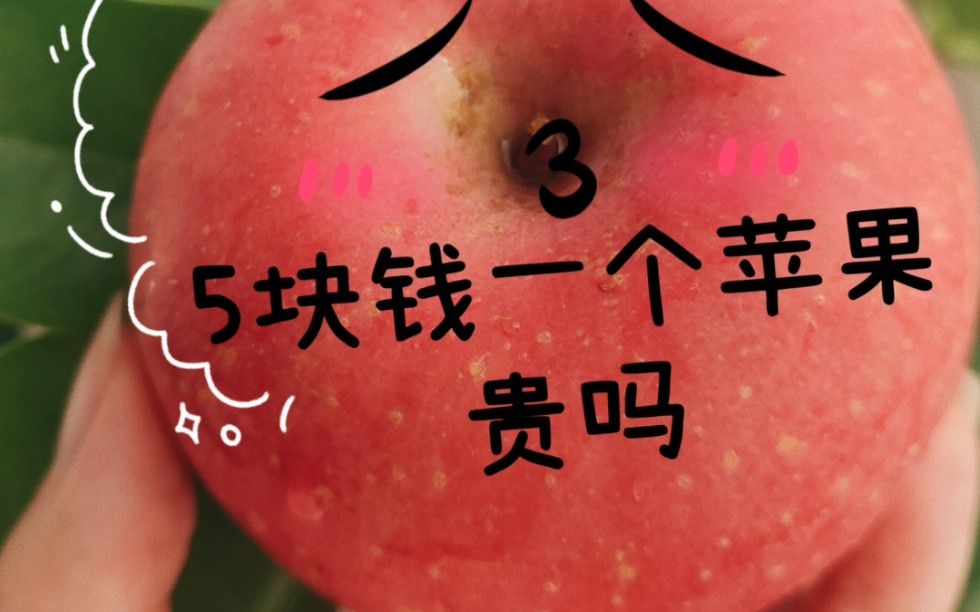 【苹果5多少钱一部,苹果5现在多少钱一部】 【苹果5多少钱一部,苹果5现在多少钱一部】