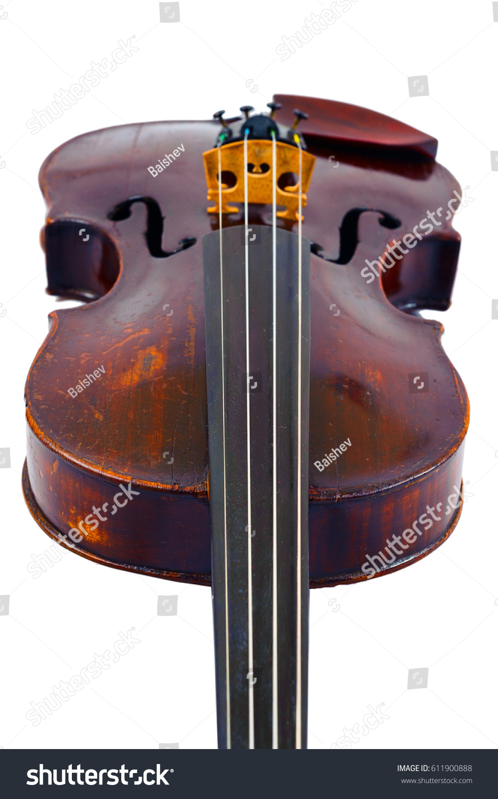 【stringed,Stringed accessory】 【stringed,Stringed accessory】
