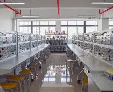 西维n612/广州市委原书记张硕辅被查 西维n612/广州市委原书记张硕辅被查