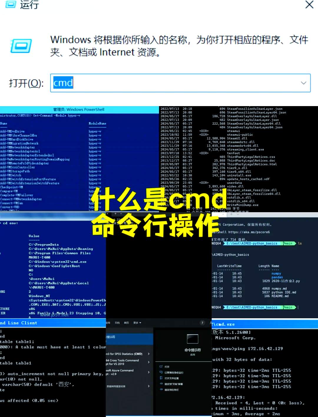 【解释器英语,解释器编译器翻译】 【解释器英语,解释器编译器翻译】