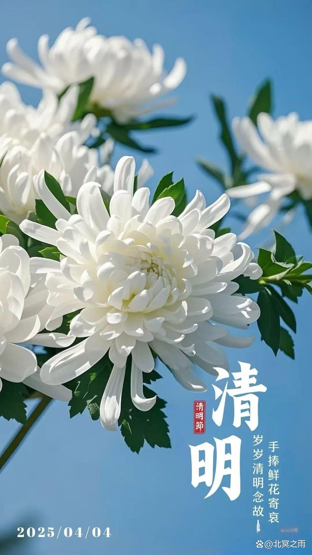 【4月4日是什么节,4月4日是什么节日和纪念日】 【4月4日是什么节,4月4日是什么节日和纪念日】