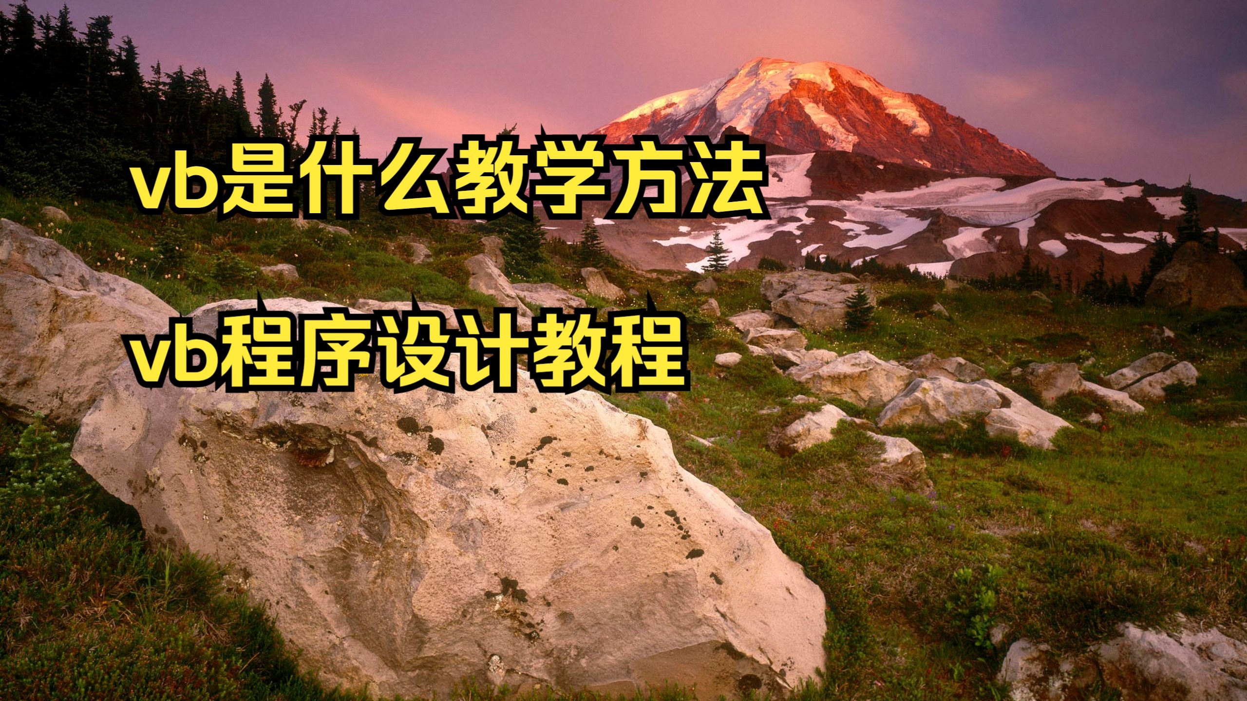 vb程序设计教程答案第四版（vb程序设计实用教程课后答案）