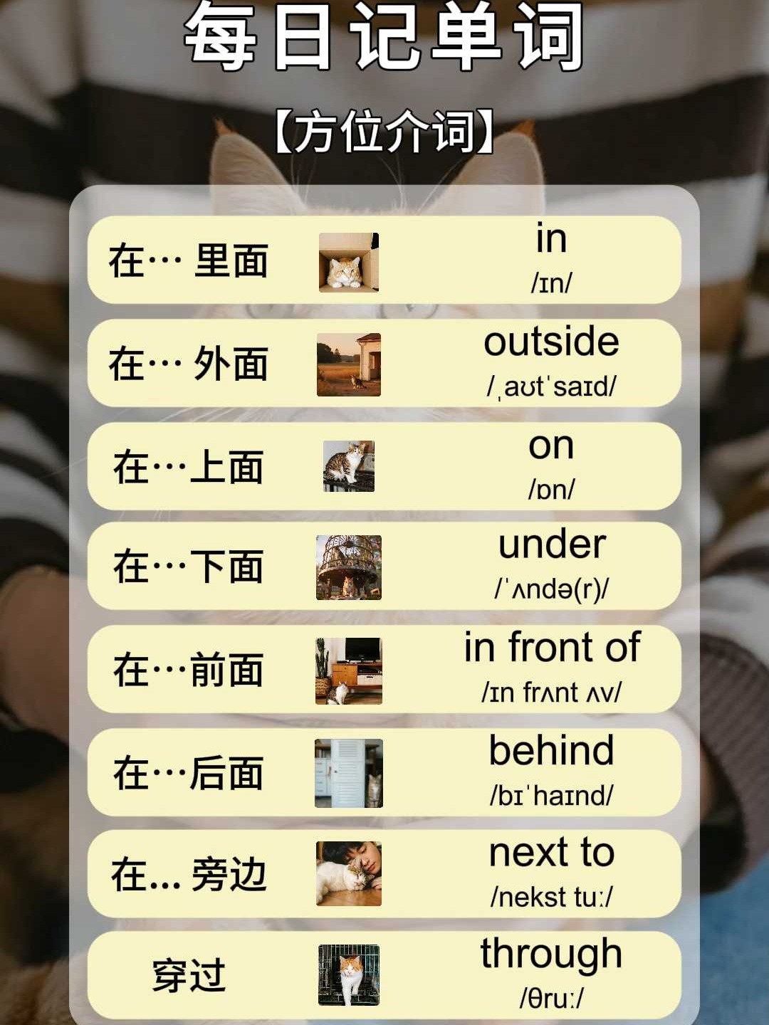 【border的四种用法,border的用法和搭配】