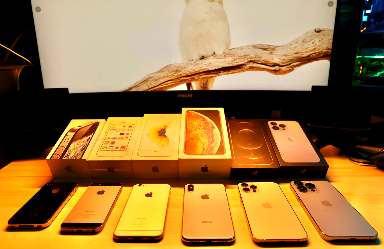 关于2021年的iphone5s还能干什么的信息 关于2021年的iphone5s还能干什么的信息