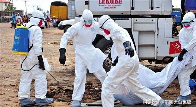 美国疫情(美国疫情死亡人数) 美国疫情(美国疫情死亡人数)