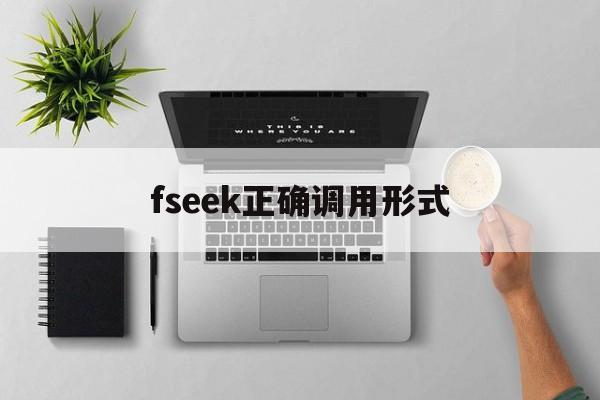 fseek正确调用形式/调用FB时需要指定什么