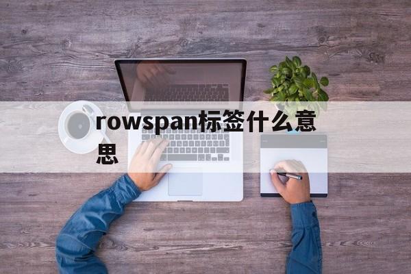 rowspan标签什么意思/rowspan是合并行吗