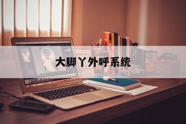 大脚丫外呼系统/销售加外呼系统官网 大脚丫外呼系统/销售加外呼系统官网